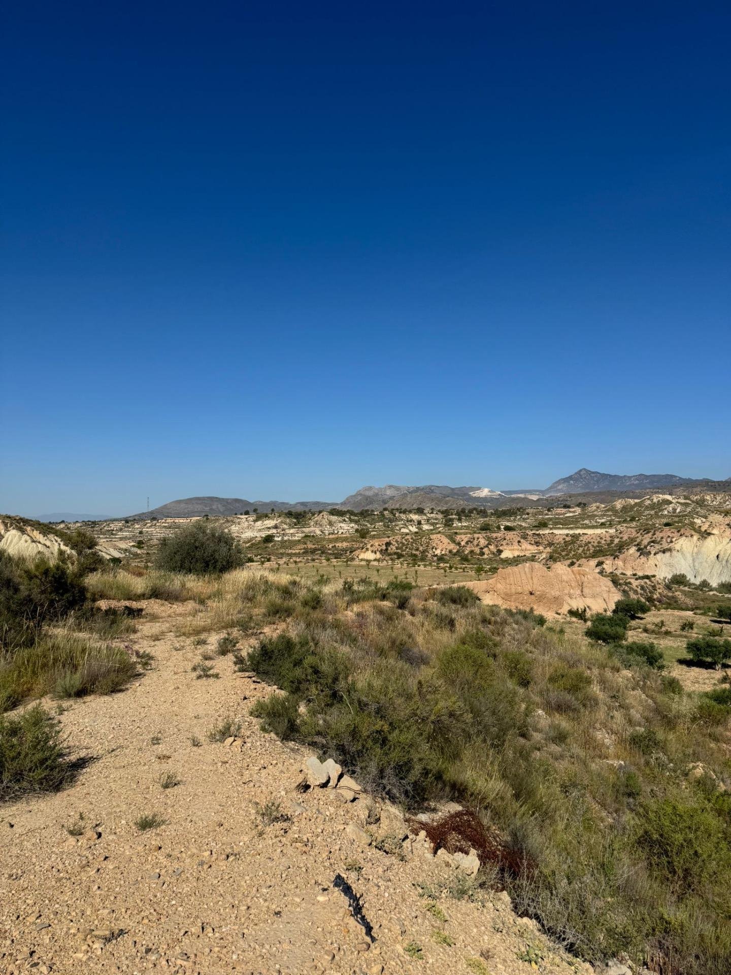 1-6 3,201 m² Land in Abanilla - Caza De Casa