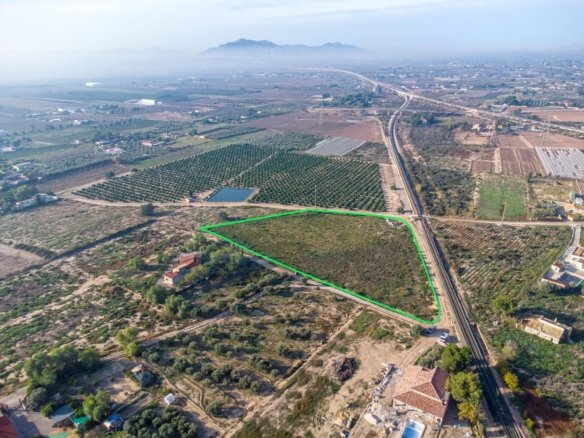 12,026 m² Land in Crevillent - Caza De Casa