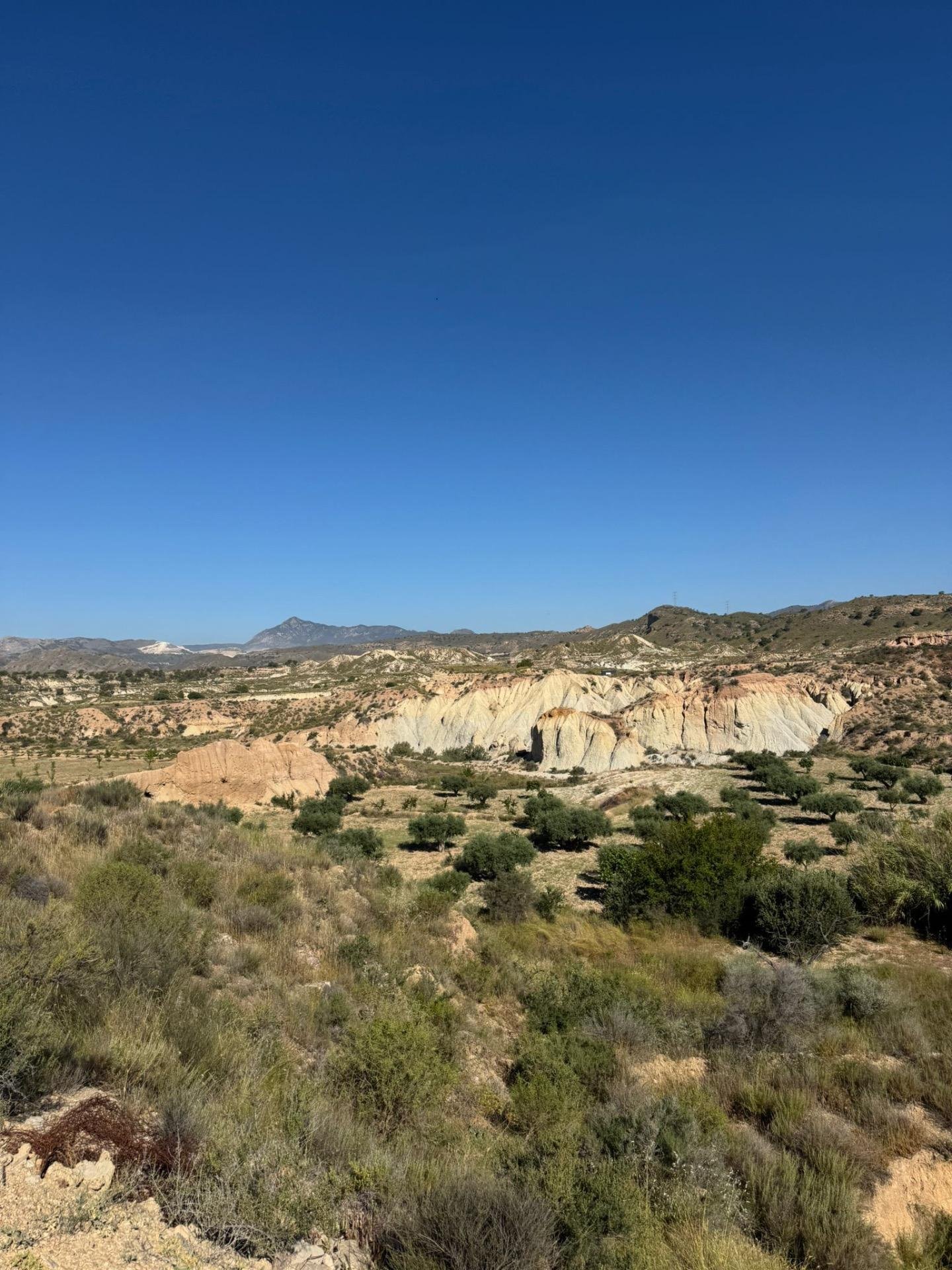 1-7 3,201 m² Land in Abanilla - Caza De Casa