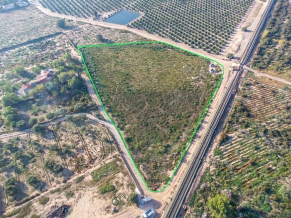 12,026 m² Land in Crevillent - Caza De Casa