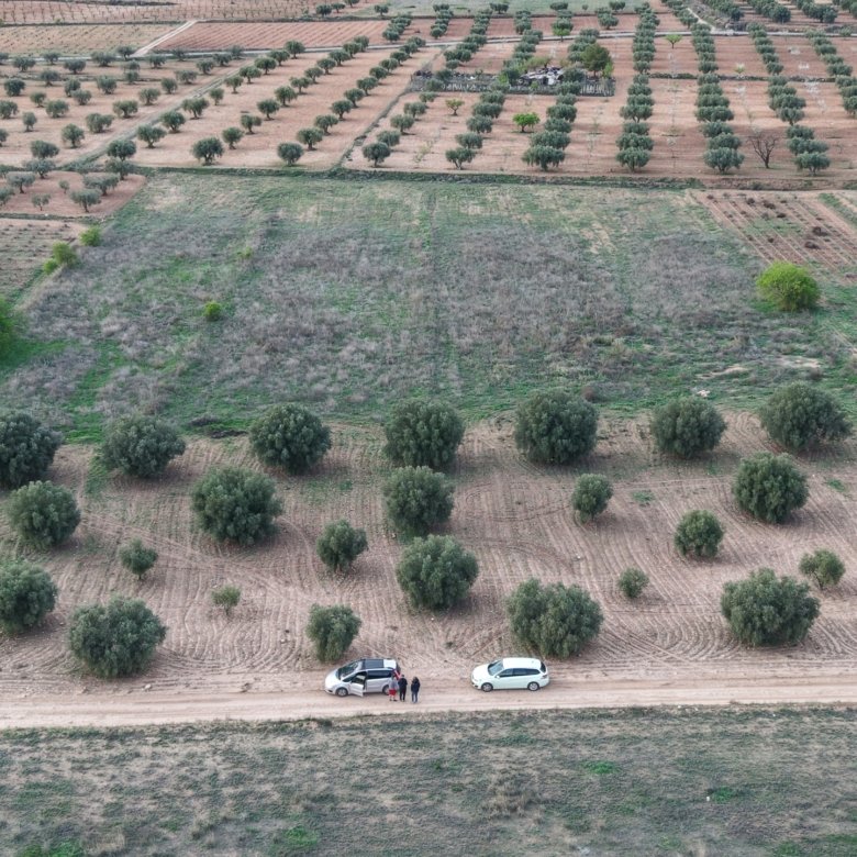 13,701 m² Land in Jumilla - Caza De Casa
