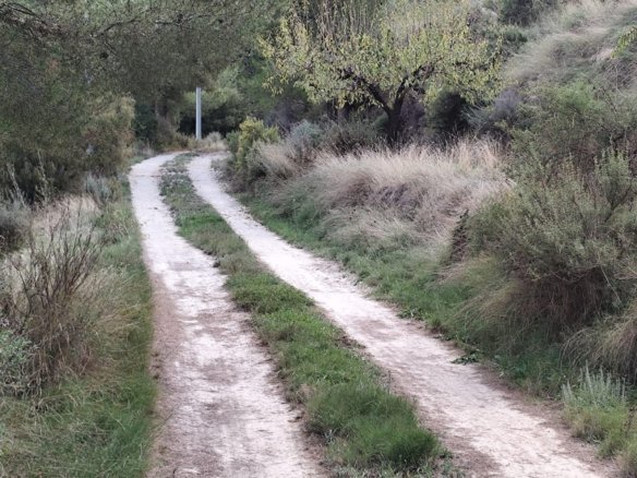 Land in Moratalla - Caza De Casa