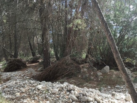 Land in Moratalla - Caza De Casa