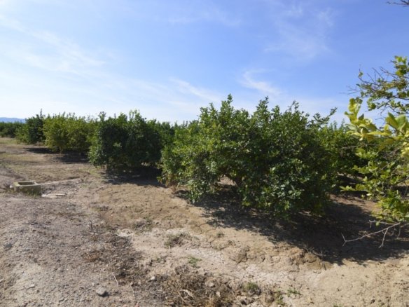 5,427 m² Land in Santomera - Caza De Casa