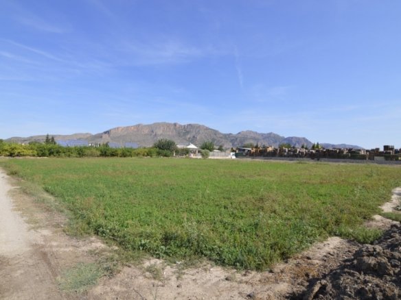 5,427 m² Land in Santomera - Caza De Casa