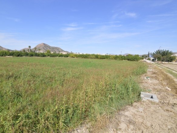 5,427 m² Land in Santomera - Caza De Casa