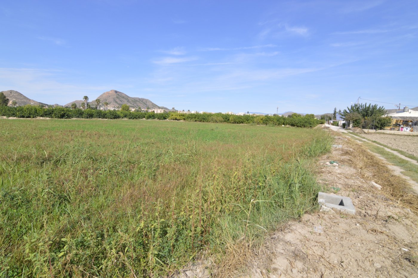 5,427 m² Land in Santomera - Caza De Casa
