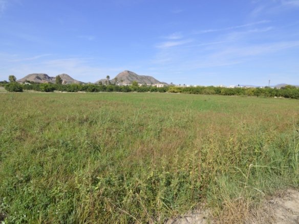 5,427 m² Land in Santomera - Caza De Casa