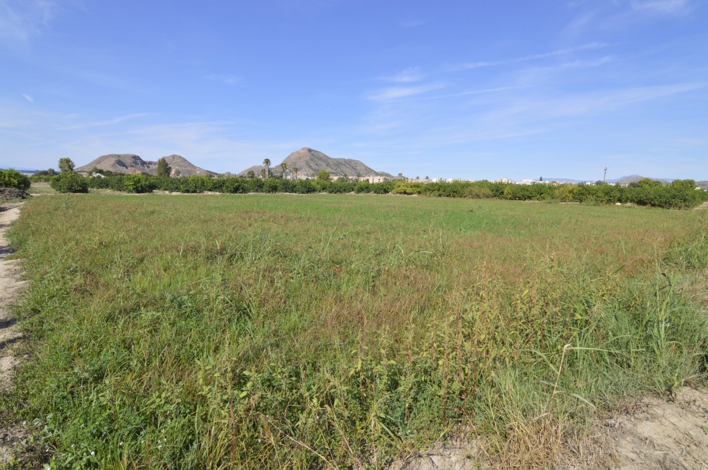 5,427 m² Land in Santomera - Caza De Casa