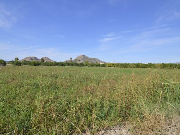5,427 m² Land in Santomera - Caza De Casa