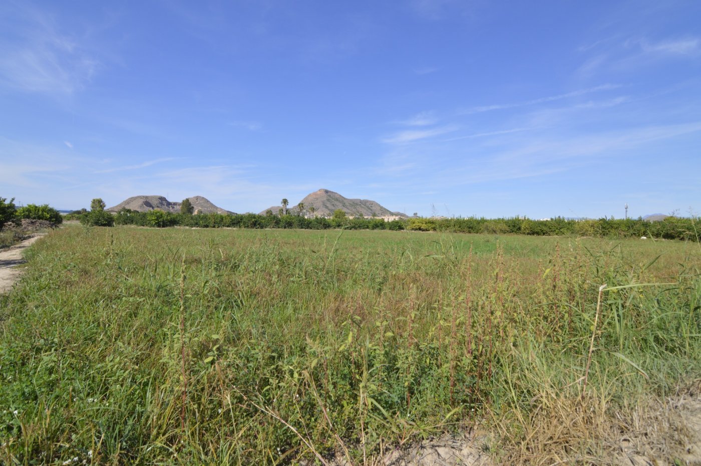 5,427 m² Land in Santomera - Caza De Casa
