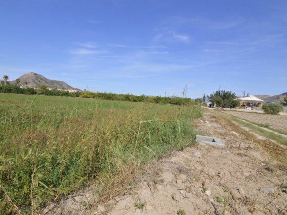 5,427 m² Land in Santomera - Caza De Casa
