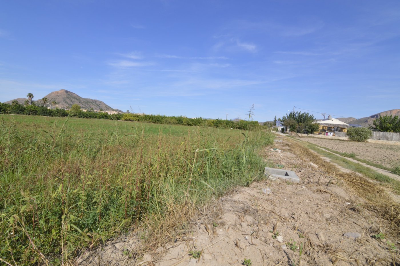 5,427 m² Land in Santomera - Caza De Casa