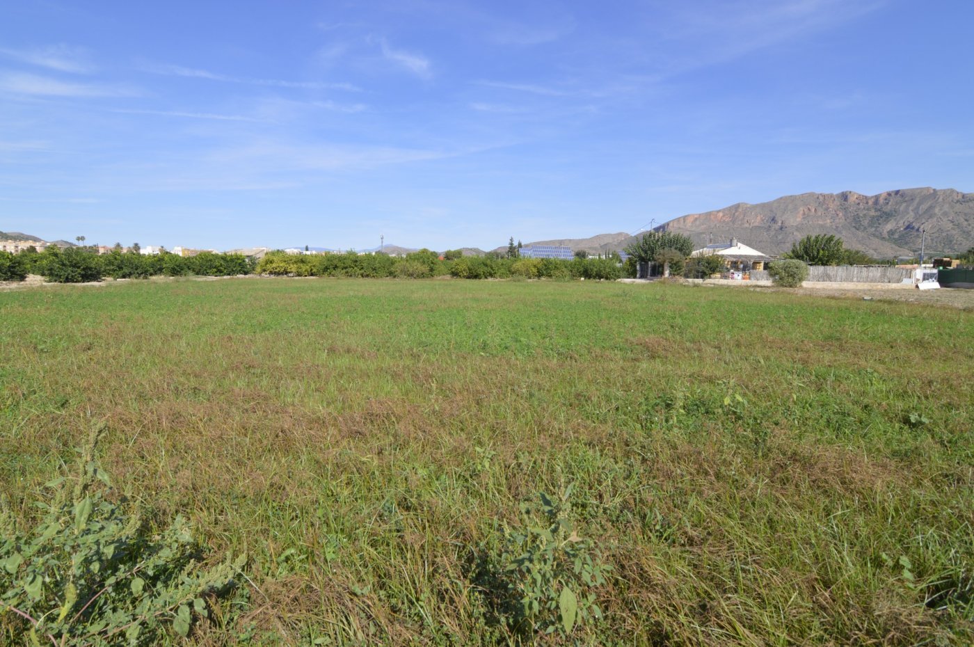5,427 m² Land in Santomera - Caza De Casa