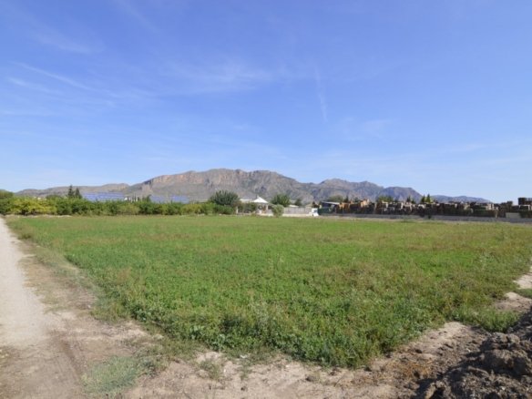 5,427 m² Land in Santomera - Caza De Casa