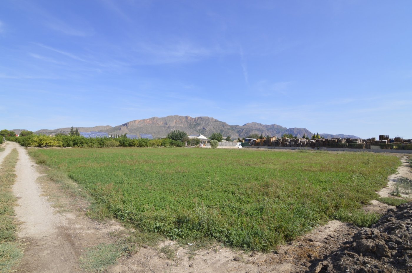 5,427 m² Land in Santomera - Caza De Casa
