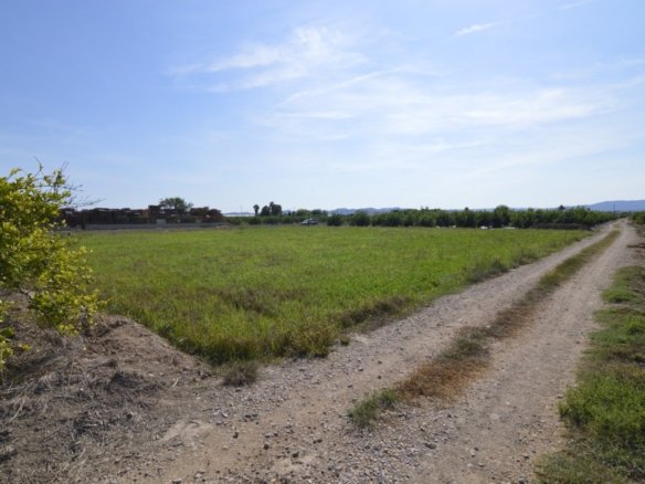 5,427 m² Land in Santomera - Caza De Casa