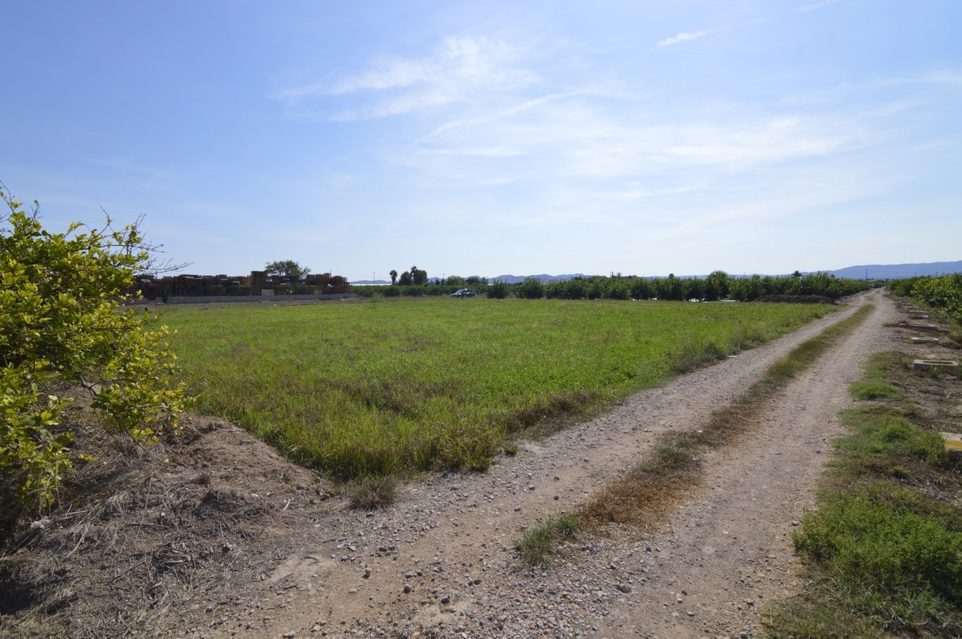 5,427 m² Land in Santomera - Caza De Casa