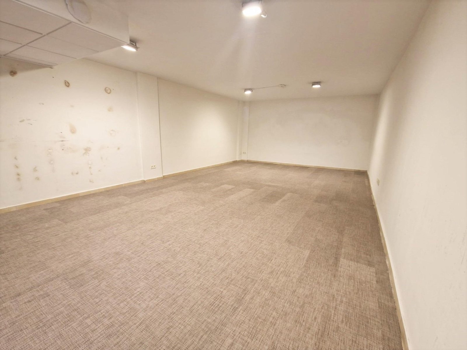 Commercial in Guardamar del Segura - Caza De Casa