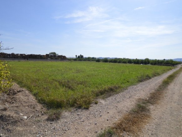 5,427 m² Land in Santomera - Caza De Casa