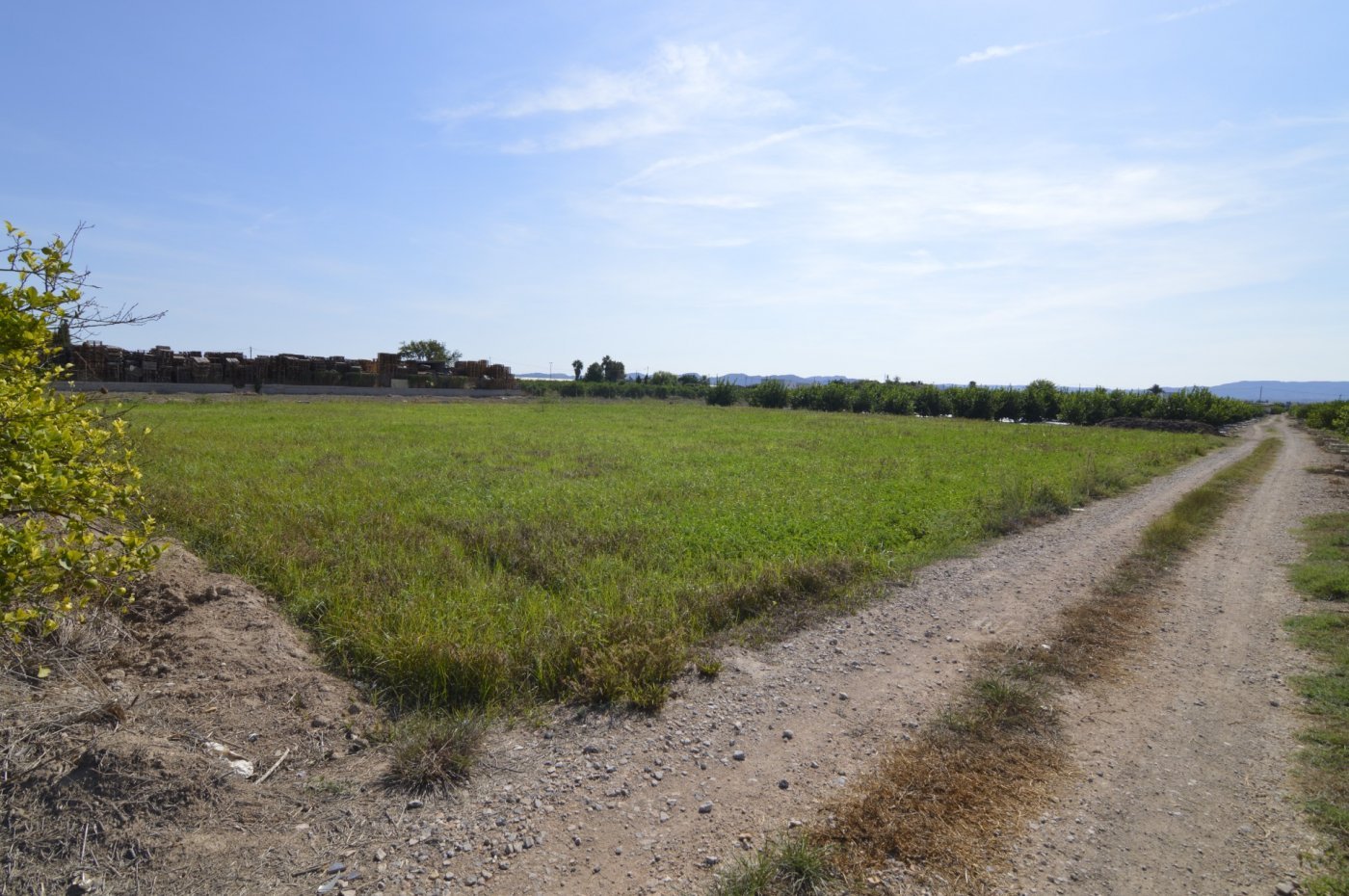 5,427 m² Land in Santomera - Caza De Casa