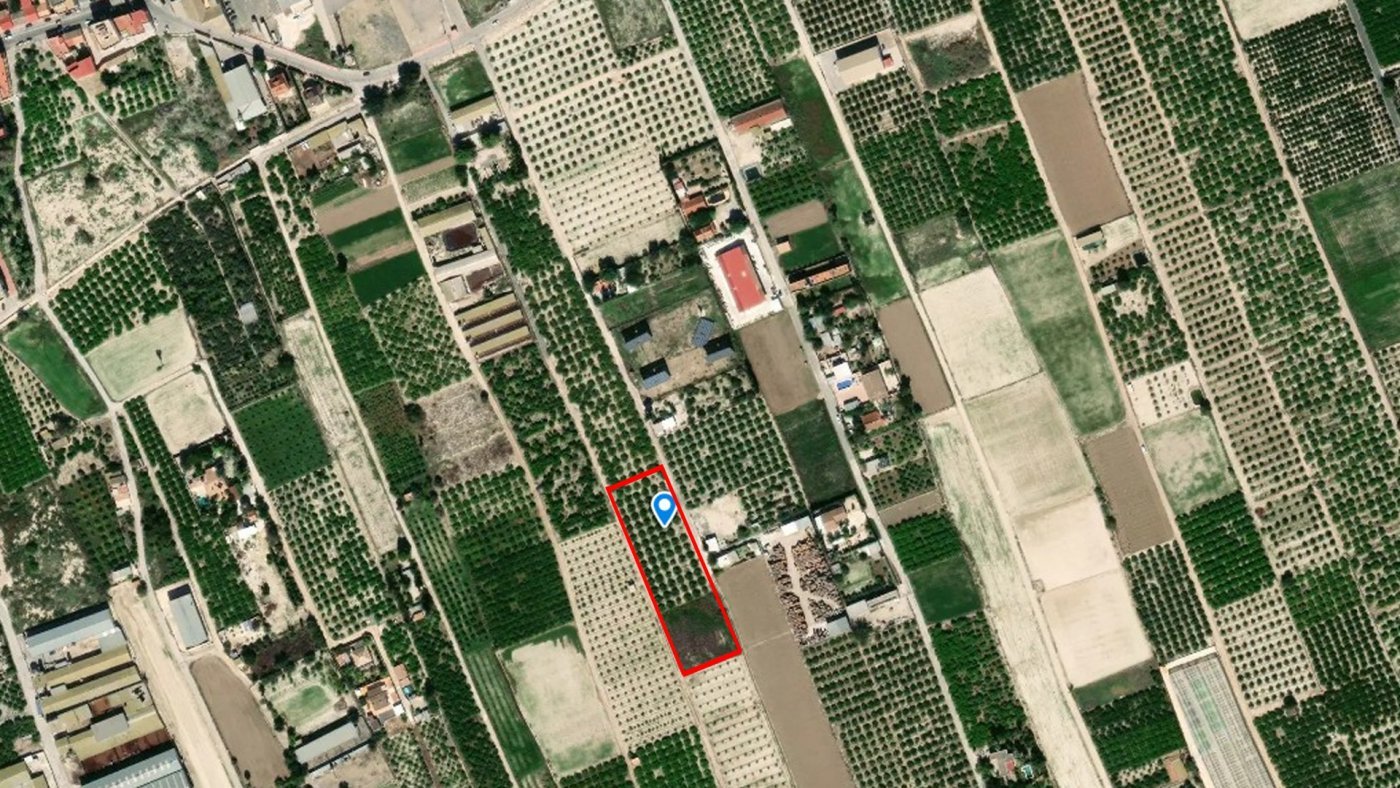 5,427 m² Land in Santomera - Caza De Casa