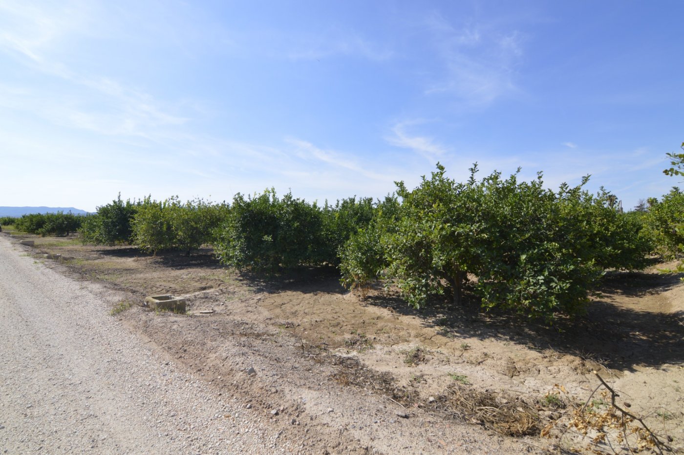5,427 m² Land in Santomera - Caza De Casa