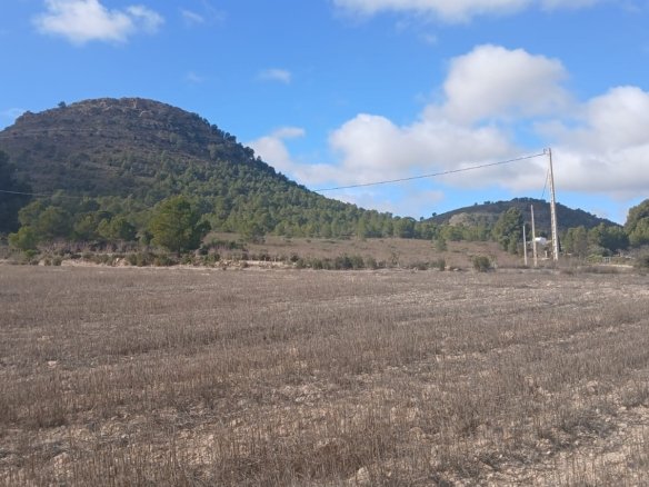 110,000 m² Land in Yecla - Caza De Casa