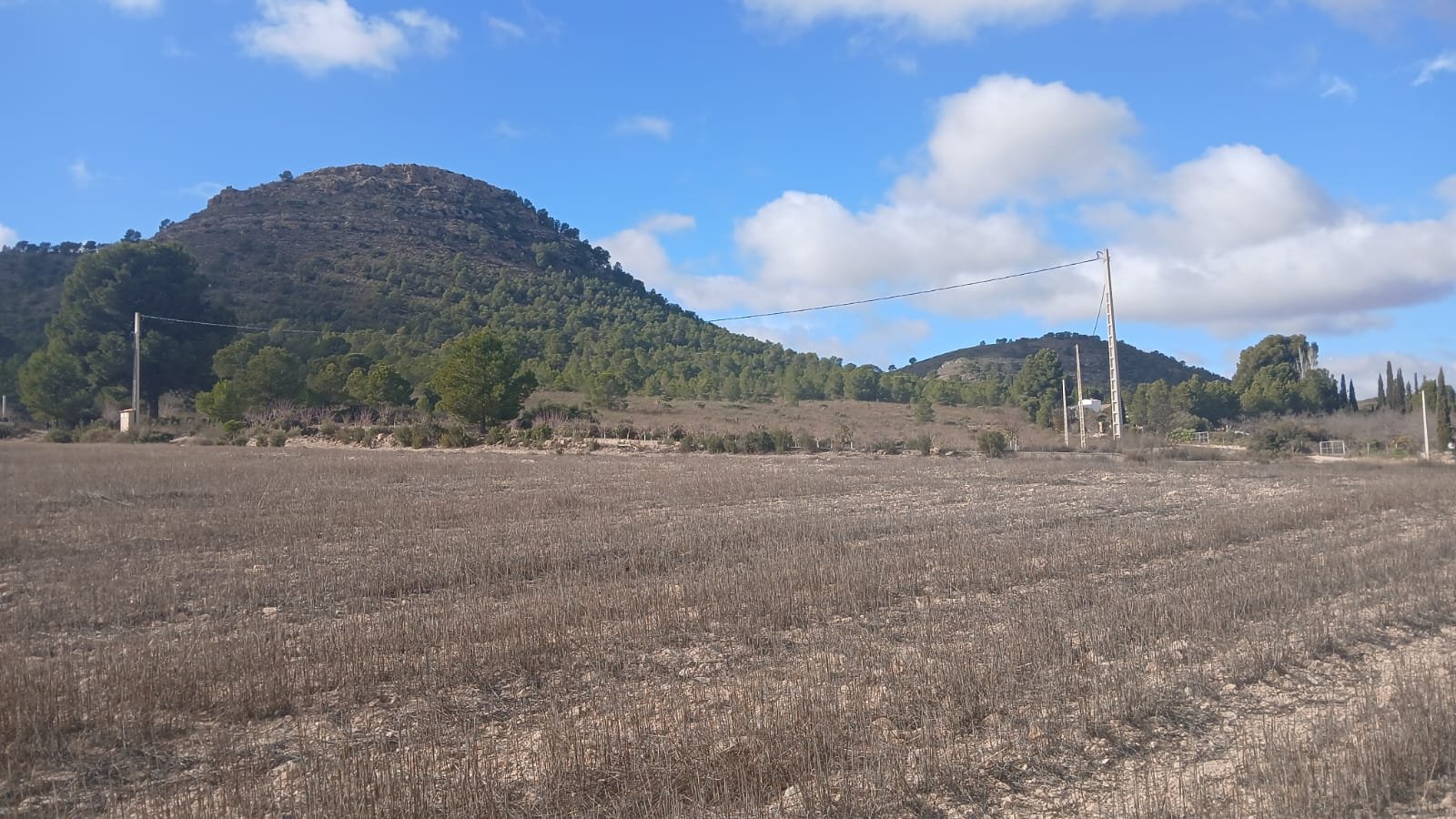 110,000 m² Land in Yecla - Caza De Casa