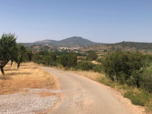 40,000 m² Land in Ayora - Caza De Casa