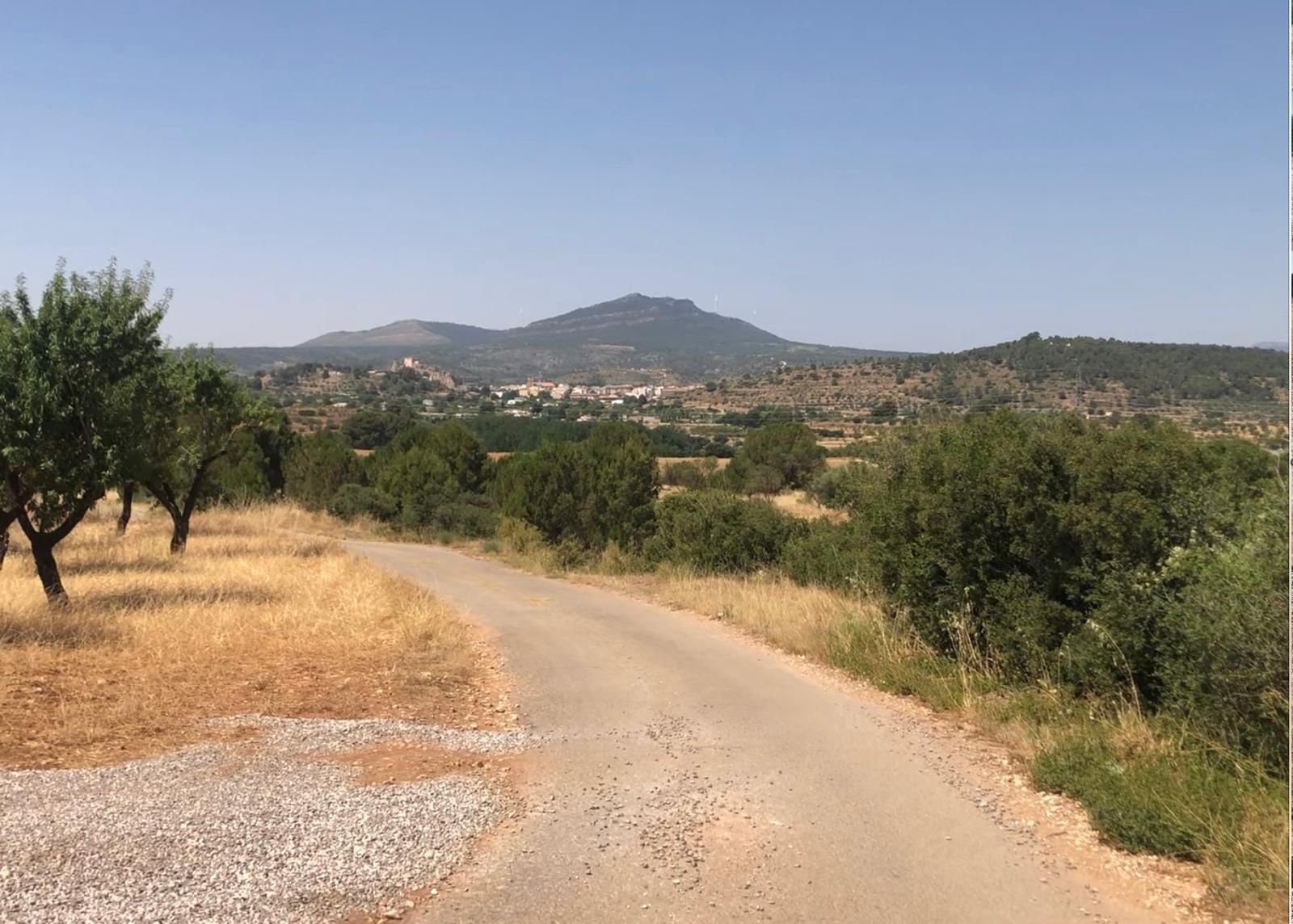 40,000 m² Land in Ayora - Caza De Casa