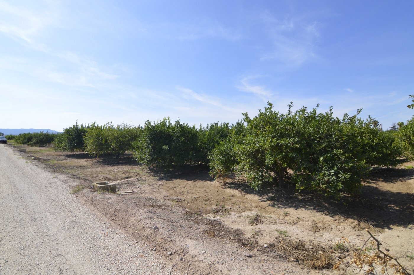 5,427 m² Land in Santomera - Caza De Casa