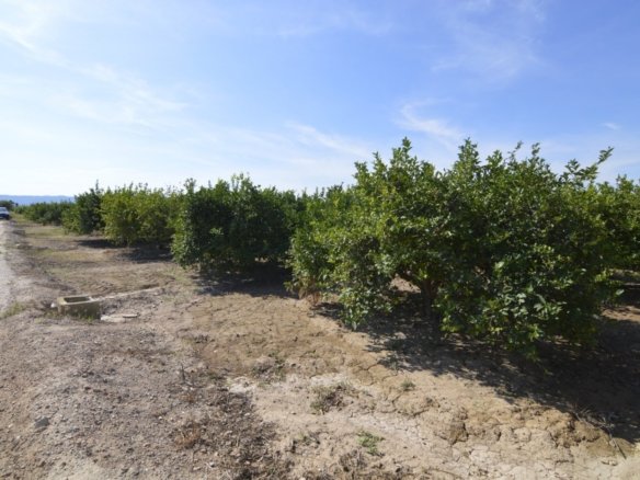 5,427 m² Land in Santomera - Caza De Casa