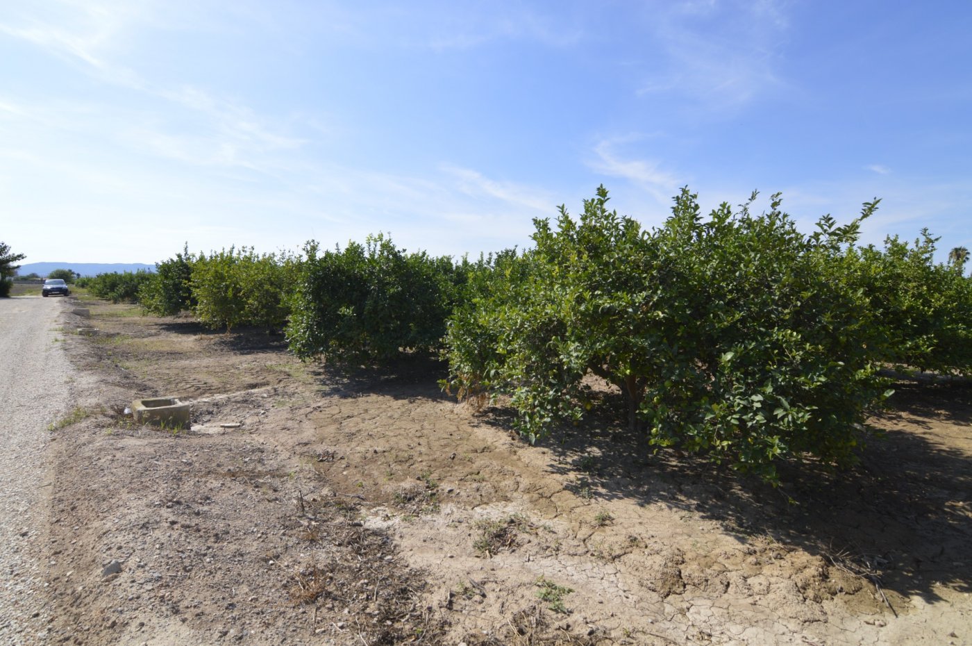 5,427 m² Land in Santomera - Caza De Casa