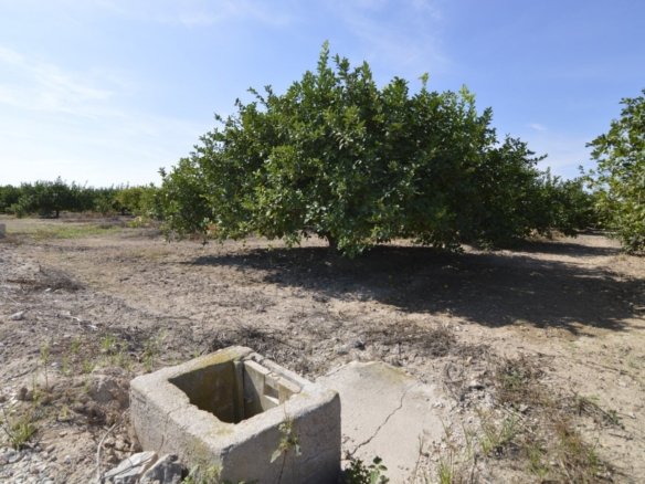 5,427 m² Land in Santomera - Caza De Casa