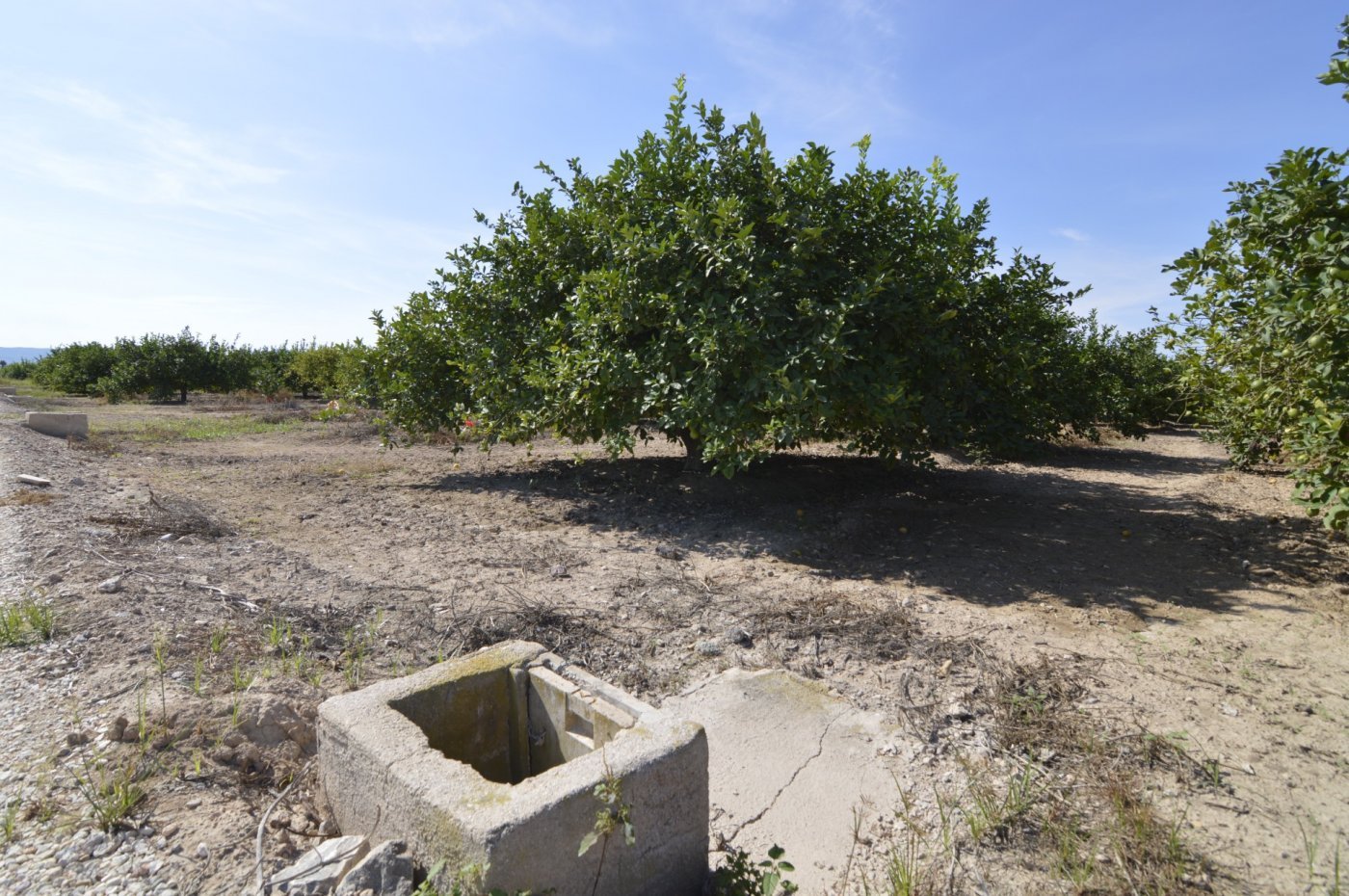 5,427 m² Land in Santomera - Caza De Casa