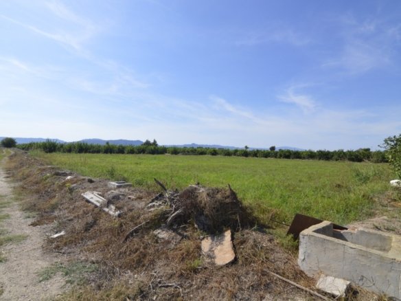 5,427 m² Land in Santomera - Caza De Casa