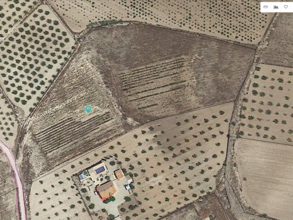11,244 m² Land in Pinoso - Caza De Casa