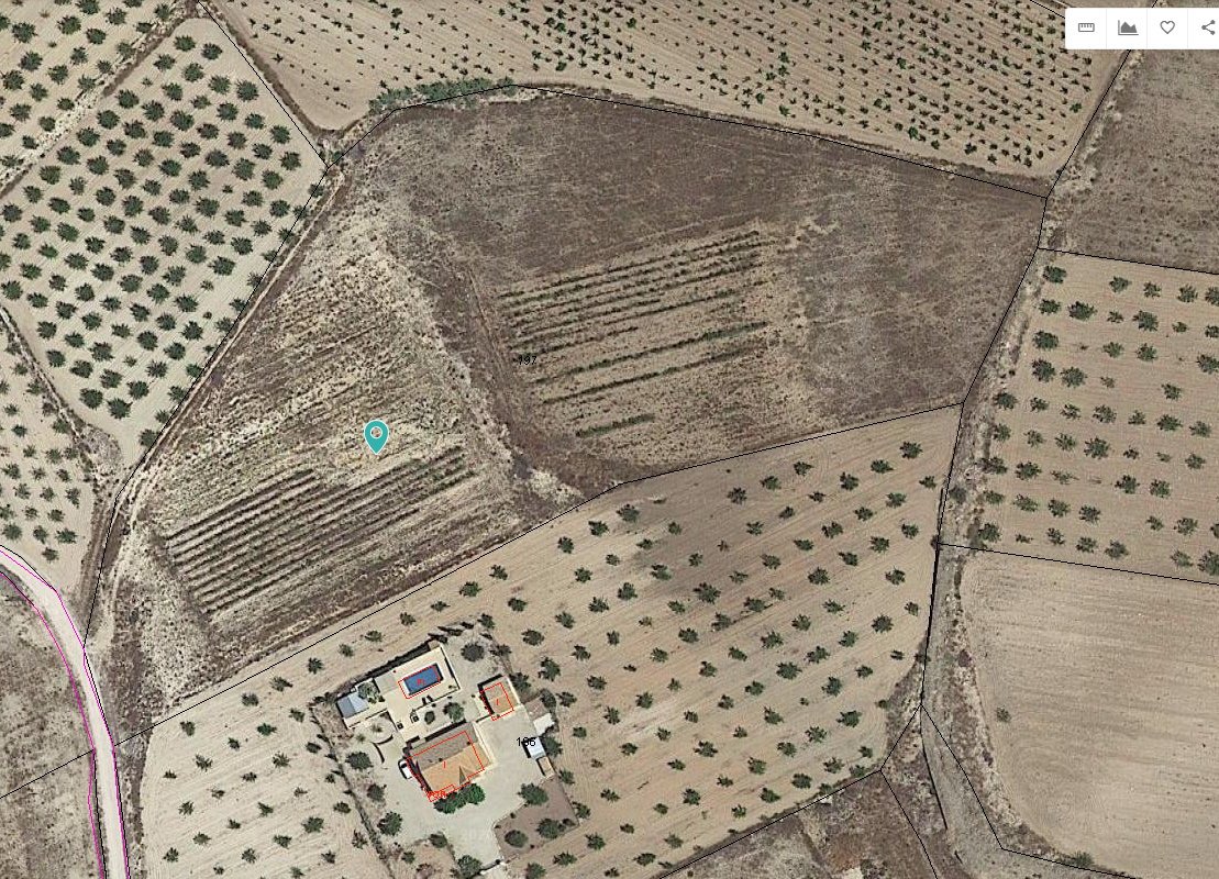 11,244 m² Land in Pinoso - Caza De Casa