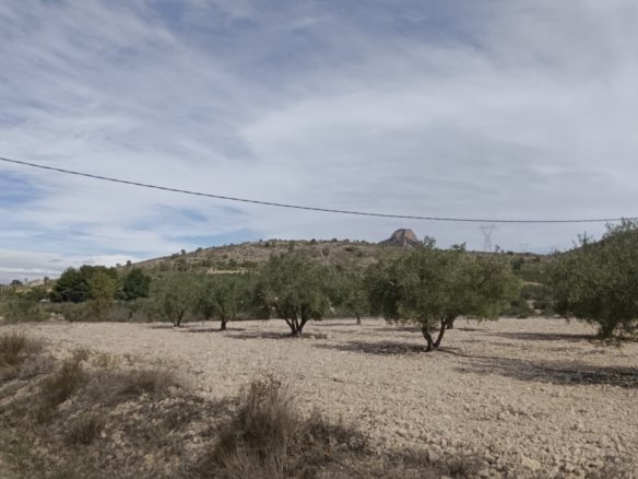 Land in Salinas - Caza De Casa