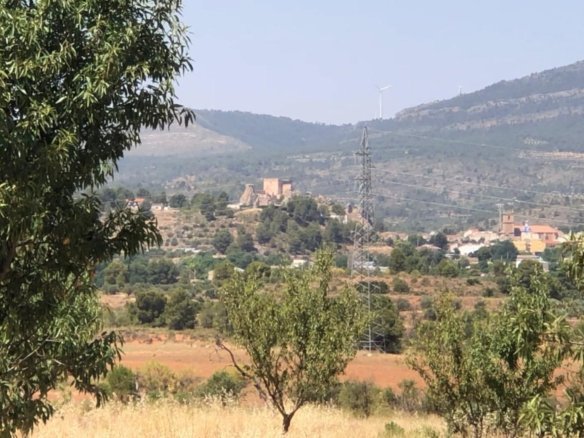40,000 m² Land in Ayora - Caza De Casa