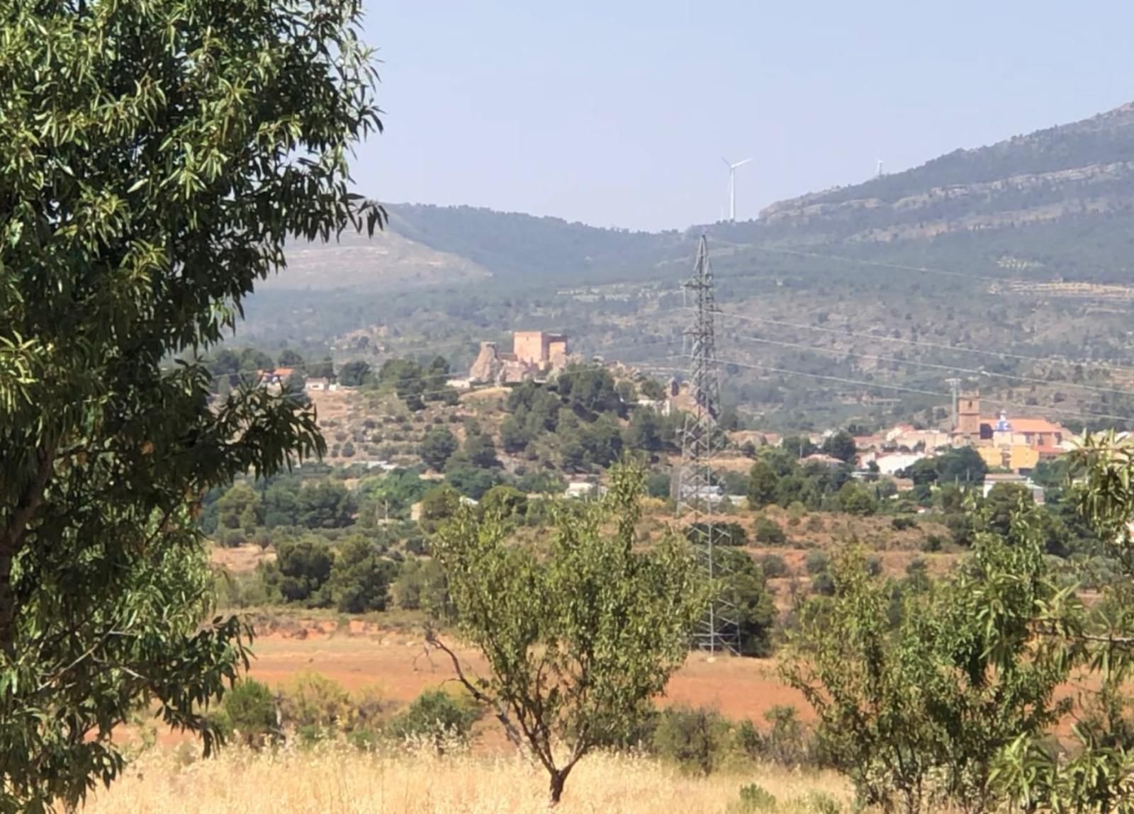 40,000 m² Land in Ayora - Caza De Casa
