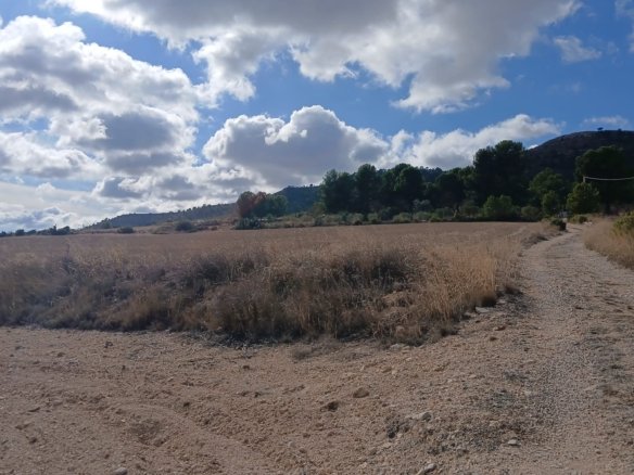 110,000 m² Land in Yecla - Caza De Casa