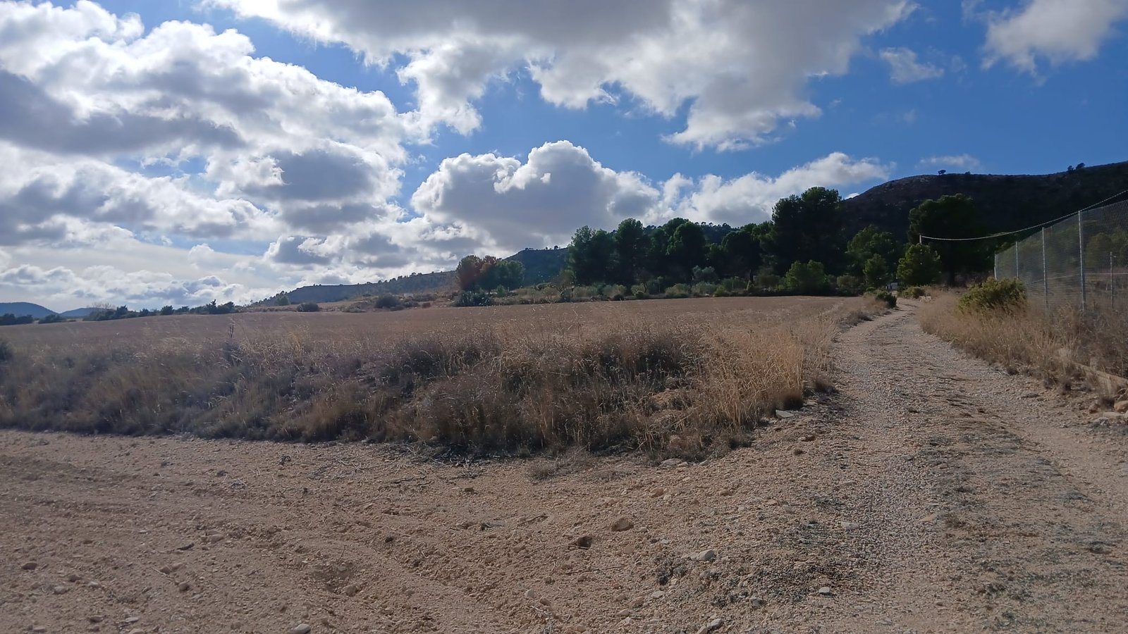 110,000 m² Land in Yecla - Caza De Casa