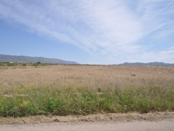 Land in Pinoso - Caza De Casa