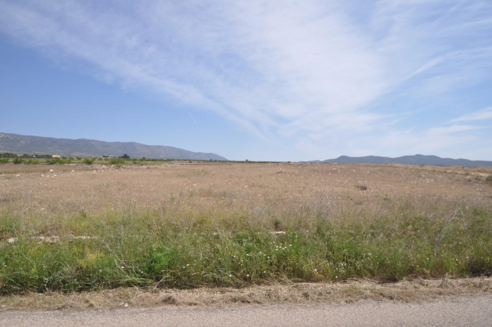 Land in Pinoso - Caza De Casa