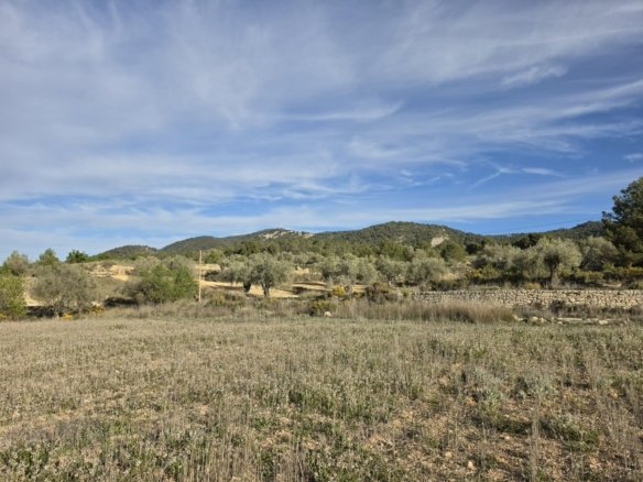 8,802 m² Land in Monóvar/Monóver - Caza De Casa
