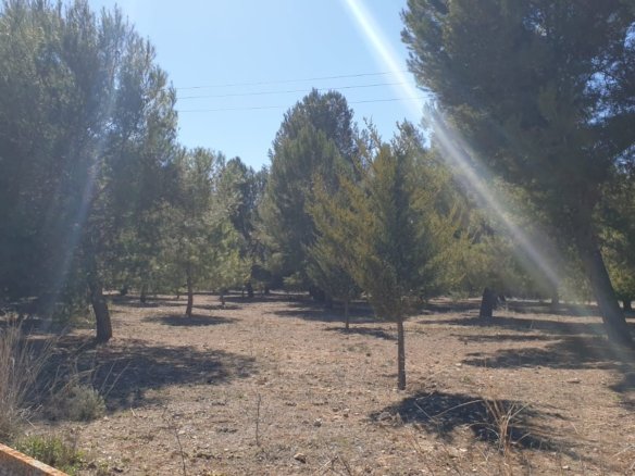 Land in Beneixama - Caza De Casa