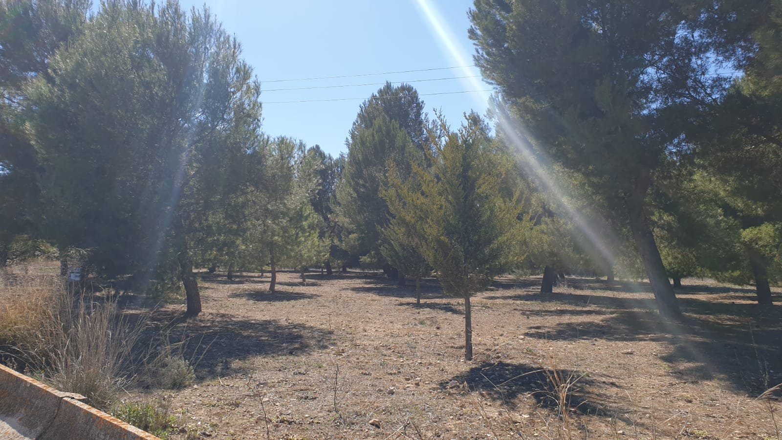 11f22a78589b44aa Land in Beneixama - Caza De Casa