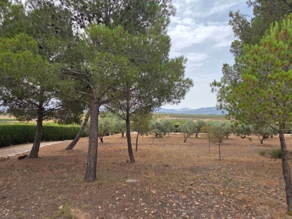 6 Bedroom 2 Bathroom Country House in Pinoso - Caza De Casa